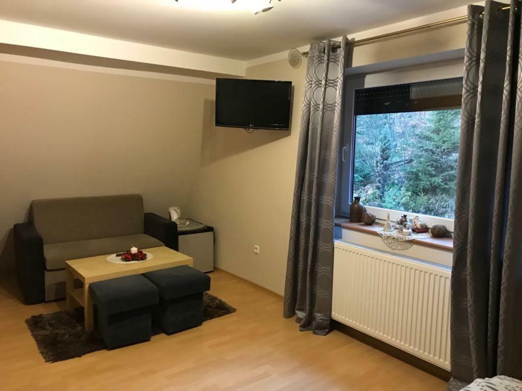 Lesny Dwor Hotel Wisla Exterior photo