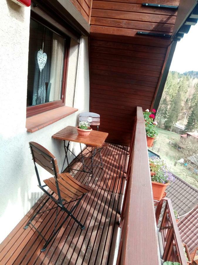 Lesny Dwor Hotel Wisla Exterior photo
